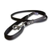 Leather Leashes