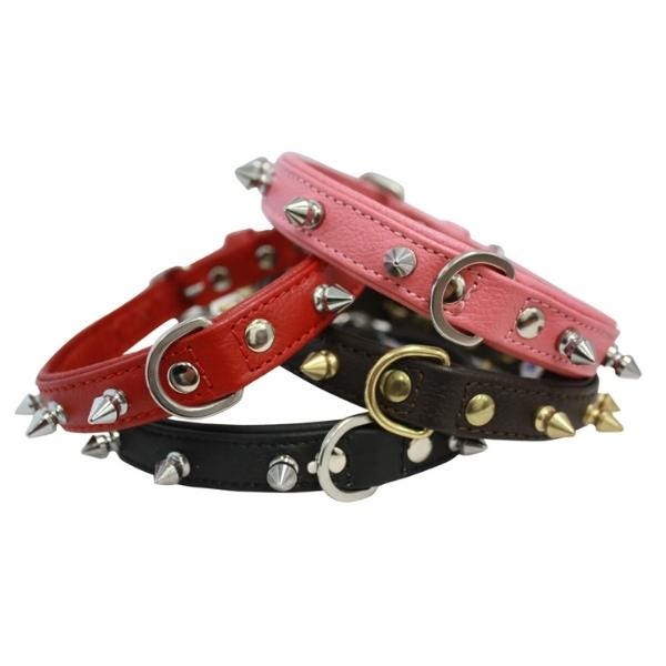 Dog Collars