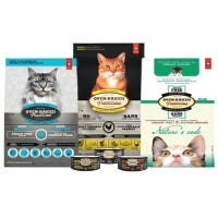 Cat Food