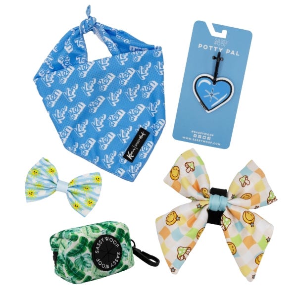 Dog Accessories