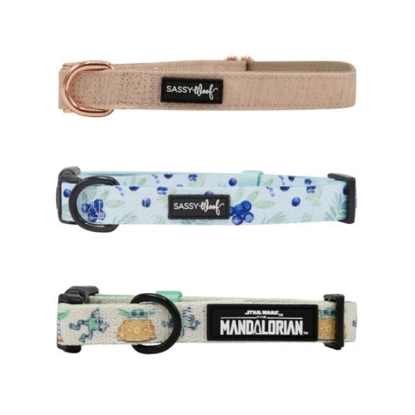 Dog Collars