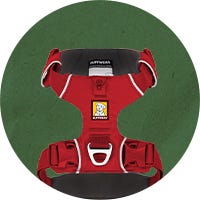 Top Gifts for Dogs