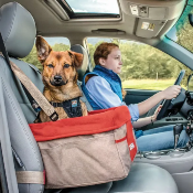 Dog Car Seats