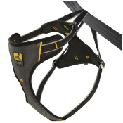 Dog Harnesses