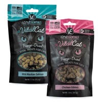 Cat Treats