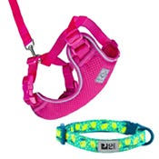 Collars & Leashes