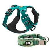 Collars, Leashes & Accessories