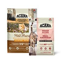 Dry Cat Food