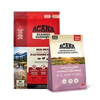 Dry Dog Food
