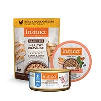Wet Cat Food