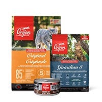 Cat Food