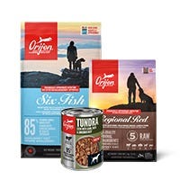Dog Food