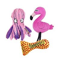 Catnip Toys