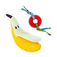 Dental Toys