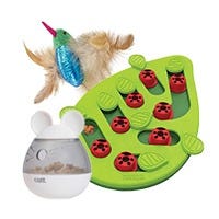 Interactive Toys