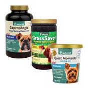 Dog Supplements