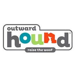 Nina Ottosson Challenge Slider Outward Hound Challenge Slider Dog Puzzle  Toy｜TikTok Search