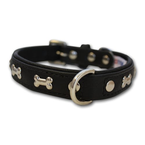 Dog collar shop with bones