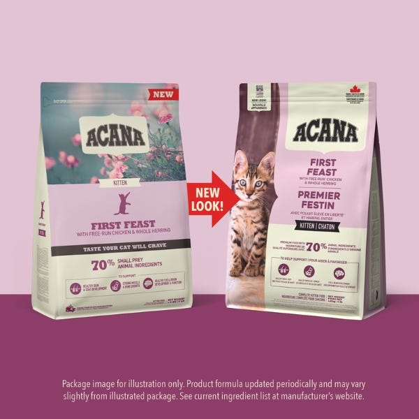 First food for kittens sales