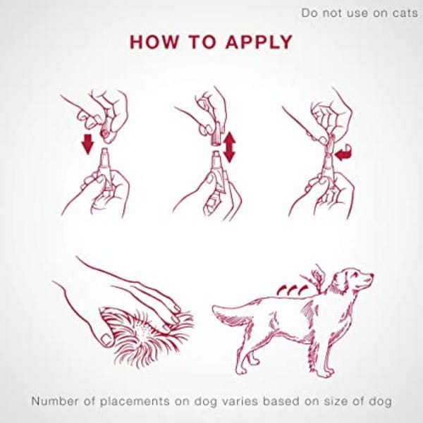 Advantix application top