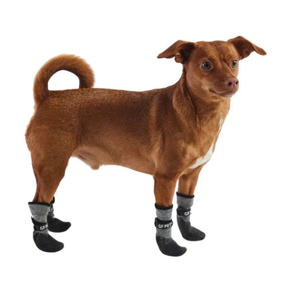 Long deals dog boots