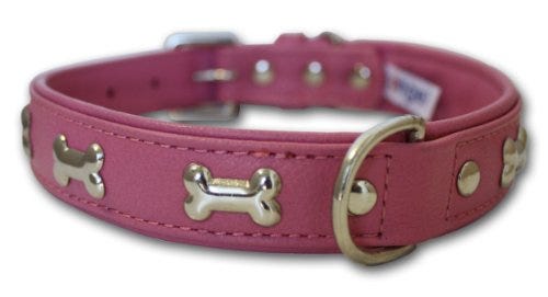 Angel dog collar new arrivals