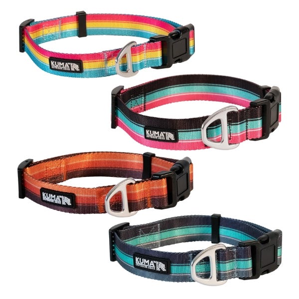 Dog Collars Canada Shop Online at Homesalive