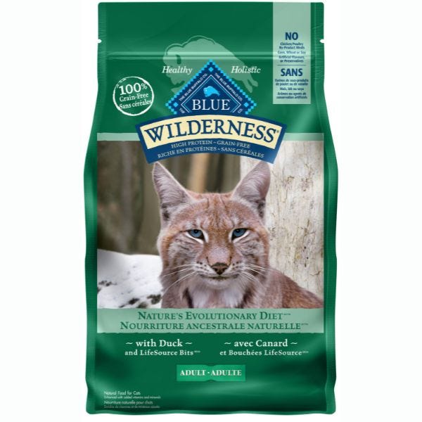 Blue wilderness kitten outlet
