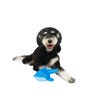 Canada Pooch Freeze & Chill Cooling Pals - Blue Dolphin