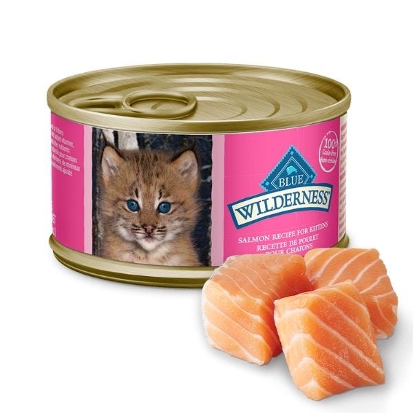 BLUE Wilderness Canned Kitten Food Salmon