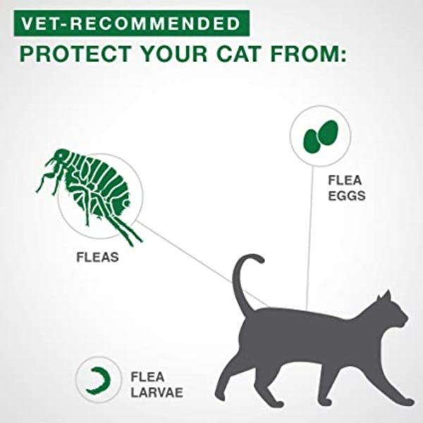 Advantage ii flea sale treatment for cats