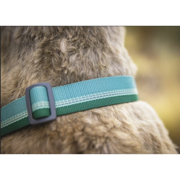 Buy Ruffwear Chain Reaction Dog Collar in Canada Homes Alive Pets