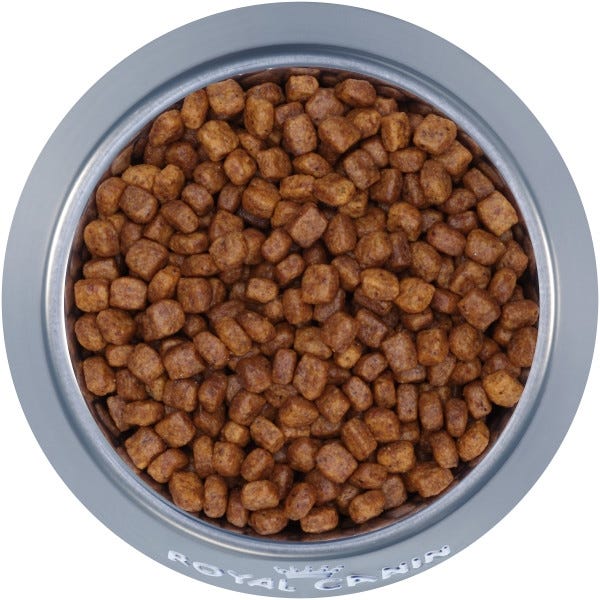 Royal canin chihuahua puppy food reviews clearance