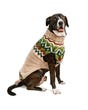 Chilly Dog - Ragg Wool Fairisle Dog Sweater - 3