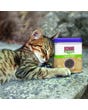 KONG Naturals Premium Catnip - With cat