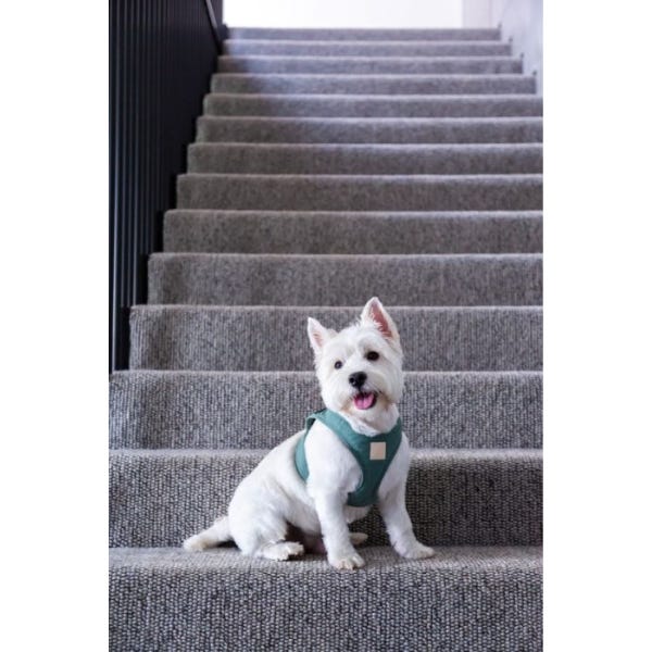 Dog harness fuzzyard deals