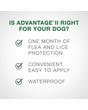 Elanco Advantage II Flea Treatment for Medium Dog Breeds