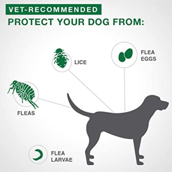 Elanco Advantage II Flea Treatment for Large Dog Breeds Buy at Homesalive