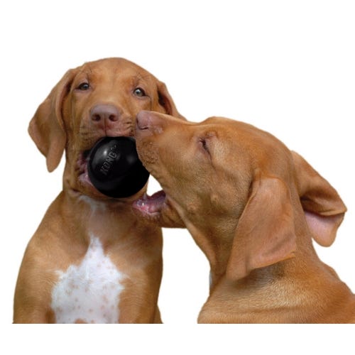 KONG Dog Ball Extreme