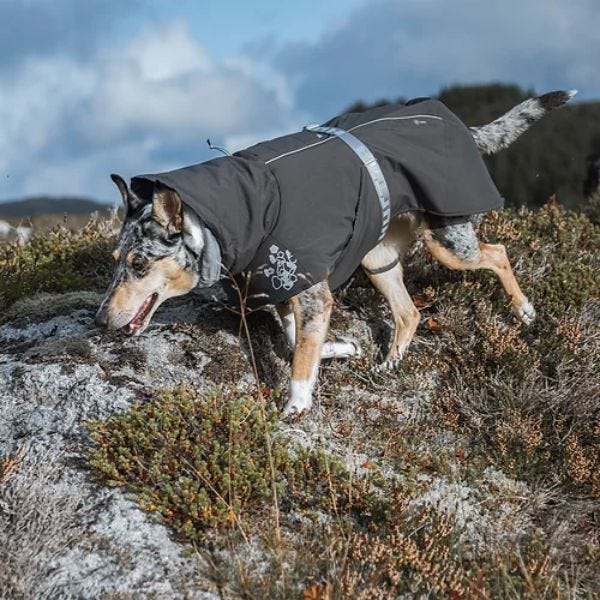 Manteau temperature extreme clearance