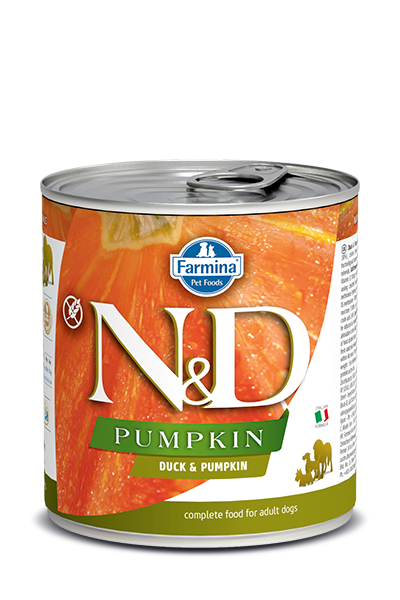 Natural and delicious best sale dog food pumpkin