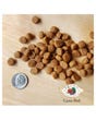 Fromm Grain-Free Adult Dog Food - Game Bird