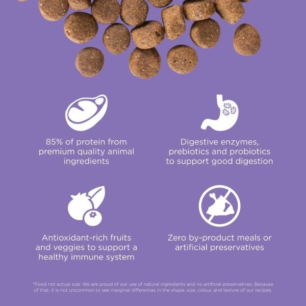 Dog food not grain free sales