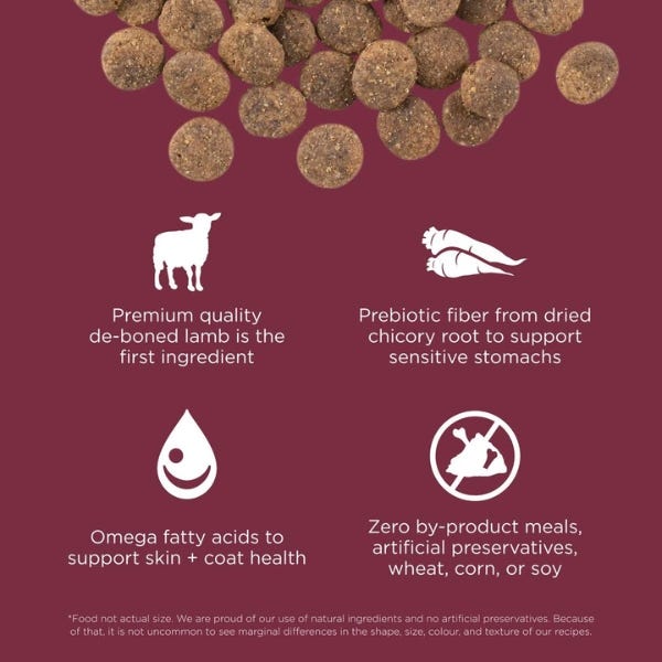 Go Solutions Sensitivities Limited Ingredient Grain Free Lamb Recipe Buy at Homesalive