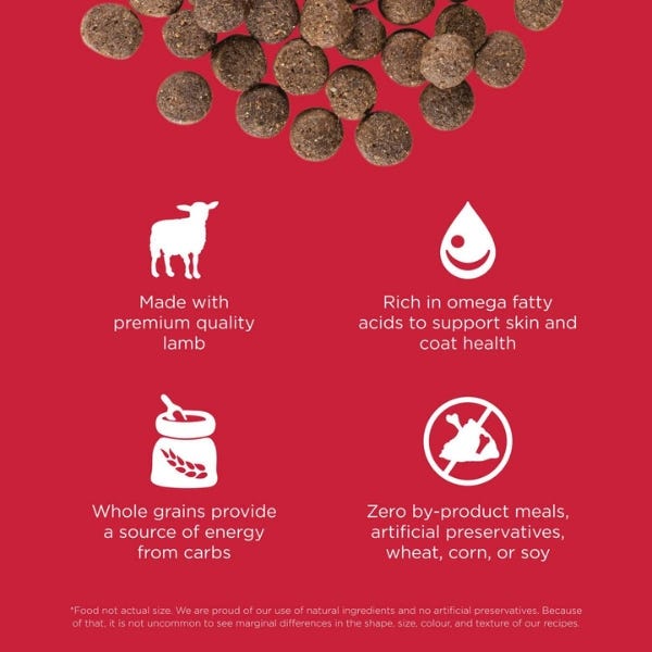 Go lamb hot sale dog food