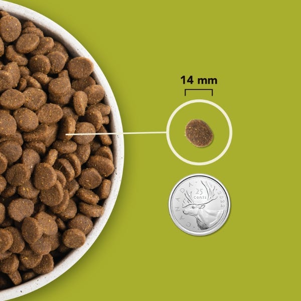 Acana kibble shop