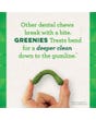 Greenies Fresh Dental Chews - Regular