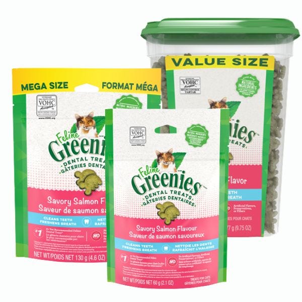 Feline Greenies Dental Treats Savory Salmon Flavour Buy at