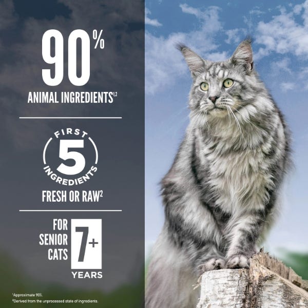Best cat food for 8 year old cat deals