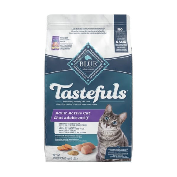 Adult best sale cat diet